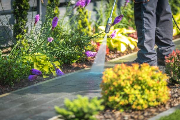 Best Gas Station Cleaning  in Farmville, NC