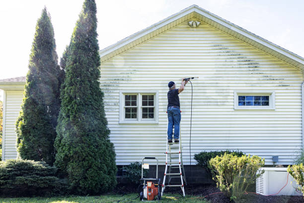 Best Driveway Pressure Washing  in Farmville, NC